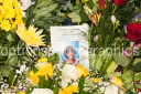 Filename=OPG_0849.jpg
Filesize=1502KiB
Dimensions=1800x1198
Date added=Jan 03, 2025 OPG_0849.jpg