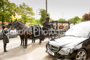 Filename=OPT_1353.jpg
Filesize=1406KiB
Dimensions=1800x1198
Date added=Jan 05, 2025 OPT_1353.jpg