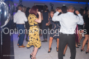 Filename=OPT_0522.jpg
Filesize=864KiB
Dimensions=1800x1198
Date added=Dec 31, 2024 OPT_0522.jpg
