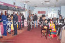 Filename=OPT_0816.jpg
Filesize=1109KiB
Dimensions=1800x1198
Date added=Jan 01, 2025 OPT_0816.jpg