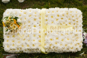 Filename=OPG_1501.jpg
Filesize=1361KiB
Dimensions=1800x1198
Date added=Jan 03, 2025 OPG_1501.jpg