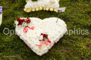 Filename=OPG_1507.jpg
Filesize=1848KiB
Dimensions=1800x1198
Date added=Jan 03, 2025 OPG_1507.jpg