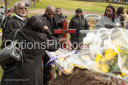 Filename=OPG_1517.jpg
Filesize=1106KiB
Dimensions=1800x1198
Date added=Jan 03, 2025 OPG_1517.jpg