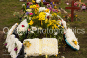 Filename=OPG_1530.jpg
Filesize=1533KiB
Dimensions=1800x1198
Date added=Jan 03, 2025 OPG_1530.jpg