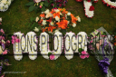 Filename=OPG_6620.jpg
Filesize=1637KiB
Dimensions=1800x1198
Date added=Jan 04, 2025 OPG_6620.jpg