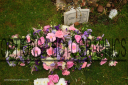 Filename=OPG_6623.jpg
Filesize=1750KiB
Dimensions=1800x1198
Date added=Jan 04, 2025 OPG_6623.jpg