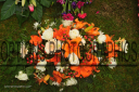 Filename=OPG_6624.jpg
Filesize=1440KiB
Dimensions=1800x1198
Date added=Jan 04, 2025 OPG_6624.jpg