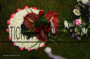 Filename=OPG_6627.jpg
Filesize=1222KiB
Dimensions=1800x1198
Date added=Jan 04, 2025 OPG_6627.jpg
