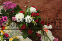 Filename=OPG_6693.jpg
Filesize=960KiB
Dimensions=1800x1198
Date added=Jan 04, 2025 OPG_6693.jpg