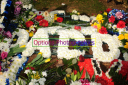 OPG_6462.jpg
