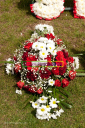 Filename=OPG_4570.jpg
Filesize=399KiB
Dimensions=798x1200
Date added=Jan 03, 2025 OPG_4570.jpg
