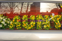 Filename=OPG_7627.jpg
Filesize=476KiB
Dimensions=1800x1198
Date added=Jan 03, 2025 OPG_7627.jpg