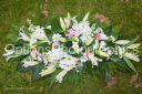 Filename=OPG_3879.jpg
Filesize=1790KiB
Dimensions=1800x1198
Date added=Jan 03, 2025 OPG_3879.jpg