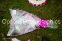 Filename=OPG_3883.jpg
Filesize=1864KiB
Dimensions=1800x1198
Date added=Jan 03, 2025 OPG_3883.jpg