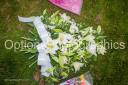 Filename=OPG_3884.jpg
Filesize=1790KiB
Dimensions=1800x1198
Date added=Jan 03, 2025 OPG_3884.jpg