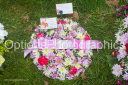 Filename=OPG_3885.jpg
Filesize=1920KiB
Dimensions=1800x1198
Date added=Jan 03, 2025 OPG_3885.jpg