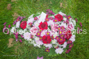 Filename=OPG_3886.jpg
Filesize=1828KiB
Dimensions=1800x1198
Date added=Jan 03, 2025 OPG_3886.jpg