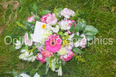 Filename=OPG_3887.jpg
Filesize=1558KiB
Dimensions=1800x1198
Date added=Jan 03, 2025 OPG_3887.jpg