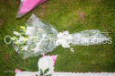 Filename=OPG_3890.jpg
Filesize=1964KiB
Dimensions=1800x1198
Date added=Jan 03, 2025 OPG_3890.jpg