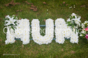 Filename=OPG_3894.jpg
Filesize=1815KiB
Dimensions=1800x1198
Date added=Jan 03, 2025 OPG_3894.jpg