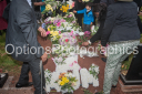 Filename=OPG_3907.jpg
Filesize=1432KiB
Dimensions=1800x1198
Date added=Jan 03, 2025 OPG_3907.jpg