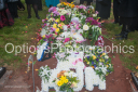 Filename=OPG_3924.jpg
Filesize=1552KiB
Dimensions=1800x1198
Date added=Jan 03, 2025 OPG_3924.jpg