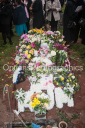 Filename=OPG_3925.jpg
Filesize=1448KiB
Dimensions=1198x1800
Date added=Jan 03, 2025 OPG_3925.jpg