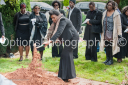 Filename=OPG_6355.jpg
Filesize=1344KiB
Dimensions=1800x1198
Date added=Jan 03, 2025 OPG_6355.jpg