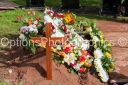 Filename=OPG_6376.jpg
Filesize=1713KiB
Dimensions=1800x1198
Date added=Jan 03, 2025 OPG_6376.jpg