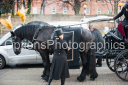 Filename=OPG_9241.jpg
Filesize=1207KiB
Dimensions=1800x1198
Date added=Jan 04, 2025 OPG_9241.jpg