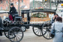 Filename=OPG_9242.jpg
Filesize=1285KiB
Dimensions=1800x1198
Date added=Jan 04, 2025 OPG_9242.jpg