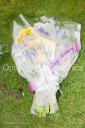 Filename=OPG_9381.jpg
Filesize=1518KiB
Dimensions=1198x1800
Date added=Jan 04, 2025 OPG_9381.jpg