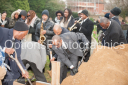 Filename=OPG_9391.jpg
Filesize=930KiB
Dimensions=1800x1198
Date added=Jan 04, 2025 OPG_9391.jpg