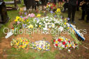 Filename=OPG_9408.jpg
Filesize=1813KiB
Dimensions=1800x1198
Date added=Jan 04, 2025 OPG_9408.jpg
