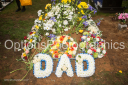 Filename=OPG_9413.jpg
Filesize=1702KiB
Dimensions=1800x1198
Date added=Jan 04, 2025 OPG_9413.jpg
