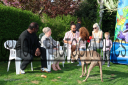 Filename=OPG_0084.jpg
Filesize=1730KiB
Dimensions=1800x1200
Date added=May 11, 2025 OPG_0084.jpg